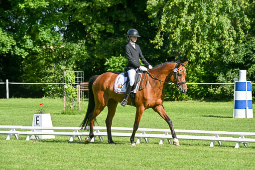  | 13062025 Dressur _0157 