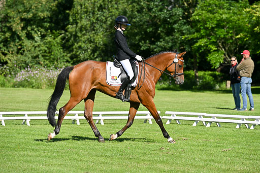  | 13062025 Dressur _0158 