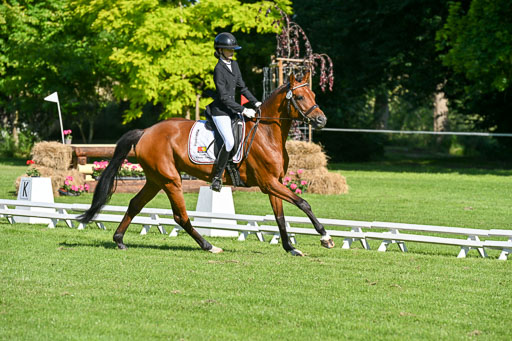  | 13062025 Dressur _0159 