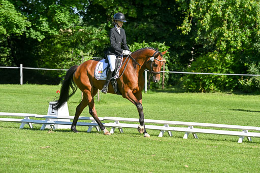  | 13062025 Dressur _0161 