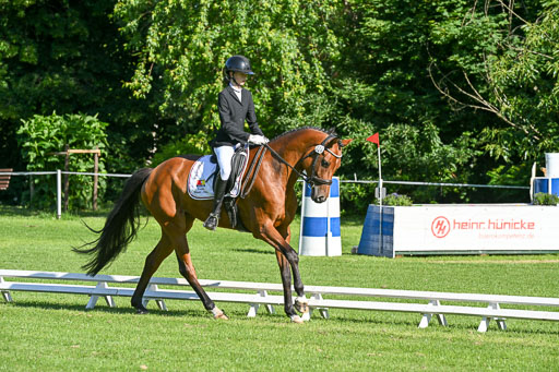  | 13062025 Dressur _0162 