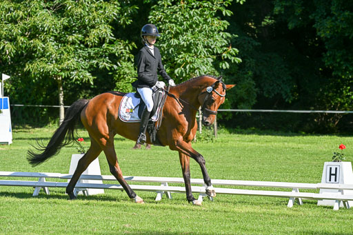  | 13062025 Dressur _0163 