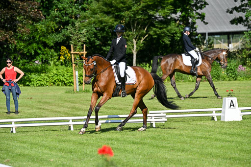  | 13062025 Dressur _0166 