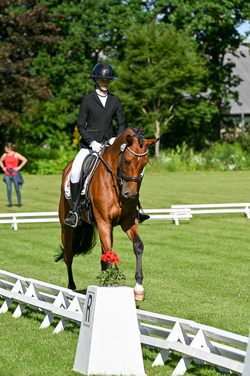  | 13062025 Dressur _0171 