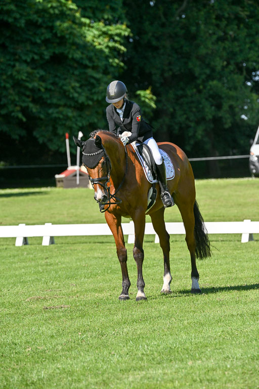  | 13062025 Dressur _0173 