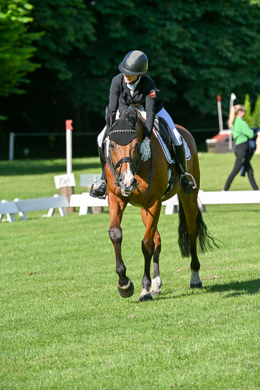  | 13062025 Dressur _0176 