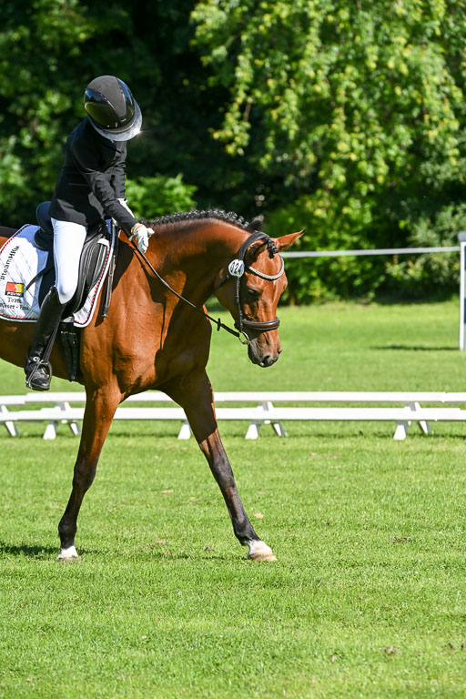  | 13062025 Dressur _0179 