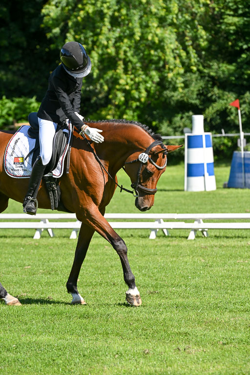  | 13062025 Dressur _0180 