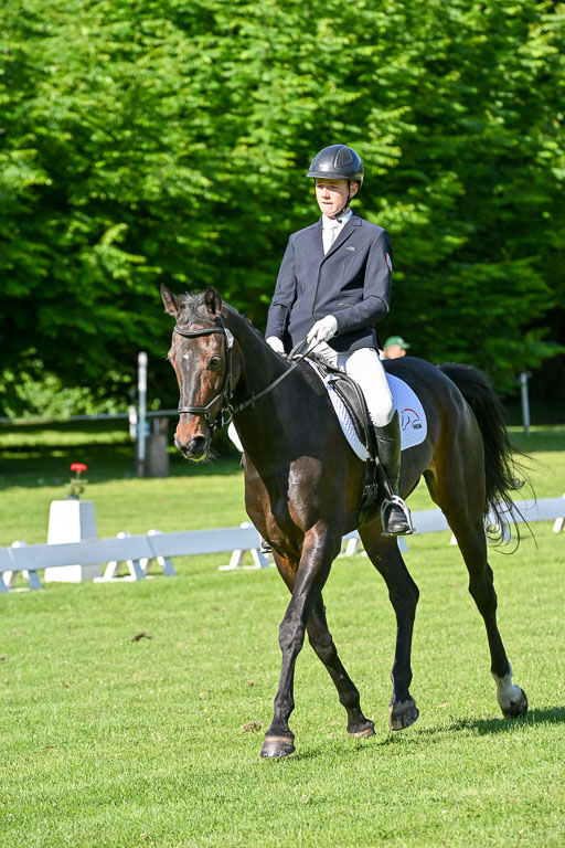  | 13062025 Dressur _0183 