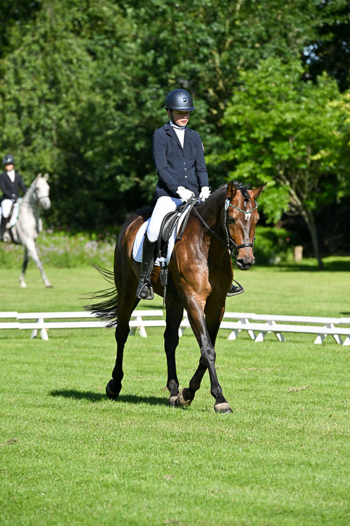  | 13062025 Dressur _0185 