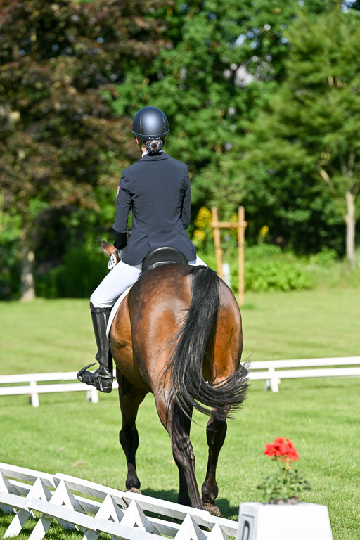  | 13062025 Dressur _0188 