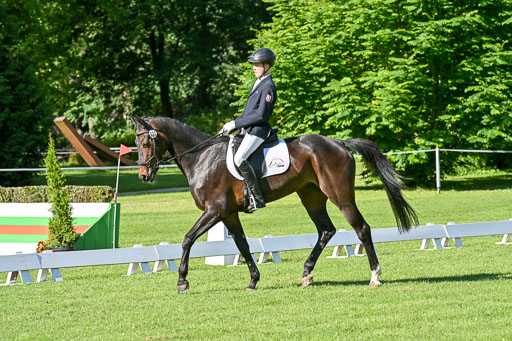 | 13062025 Dressur _0191 