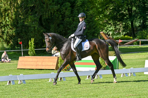  | 13062025 Dressur _0192 