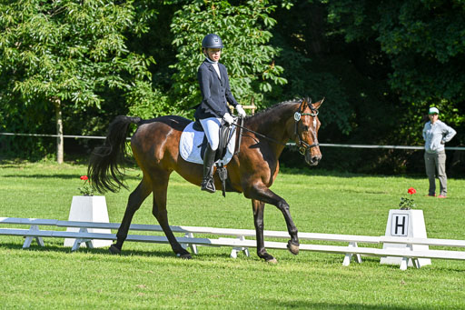  | 13062025 Dressur _0201 