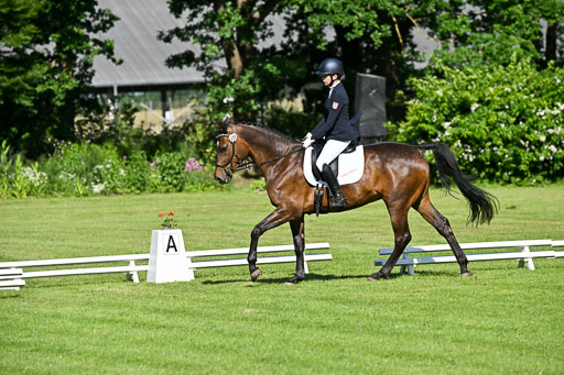  | 13062025 Dressur _0204 