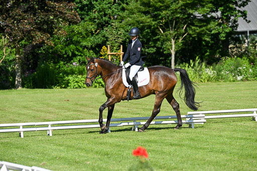  | 13062025 Dressur _0205 