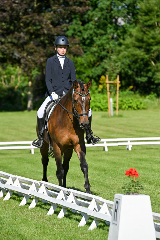  | 13062025 Dressur _0206 