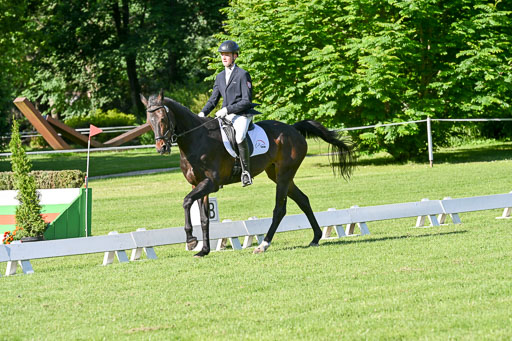  | 13062025 Dressur _0212 