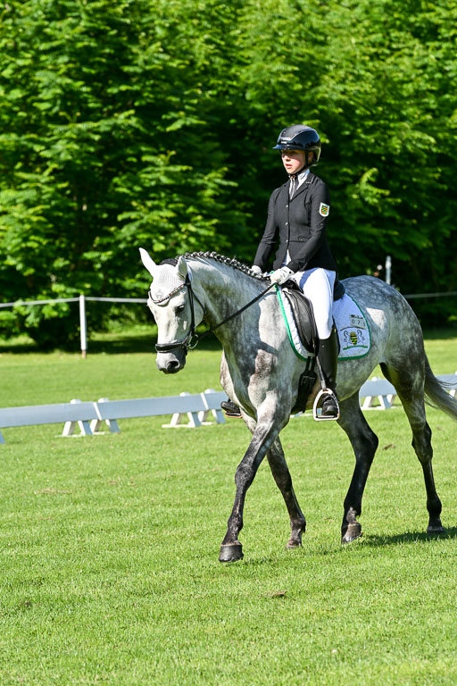  | 13062025 Dressur _0224 