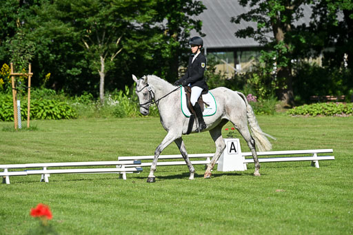  | 13062025 Dressur _0236 