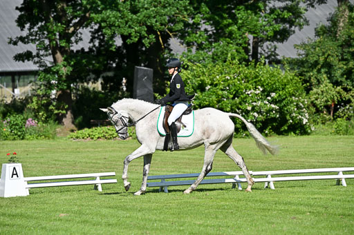  | 13062025 Dressur _0237 