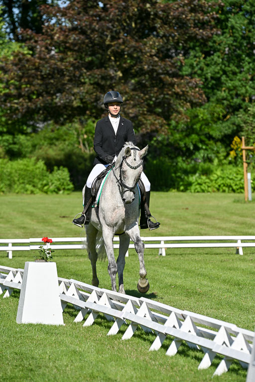  | 13062025 Dressur _0241 