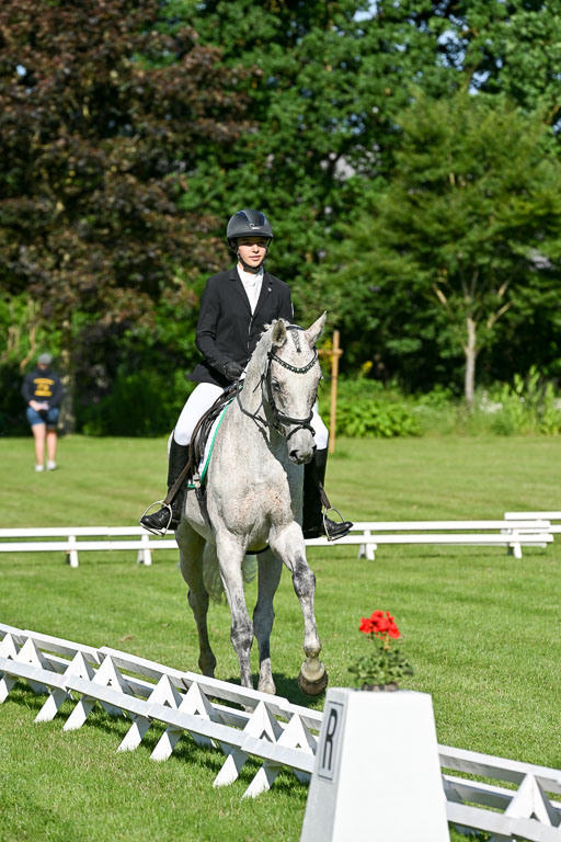  | 13062025 Dressur _0242 