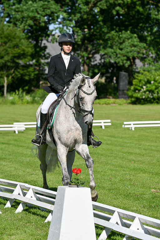  | 13062025 Dressur _0243 