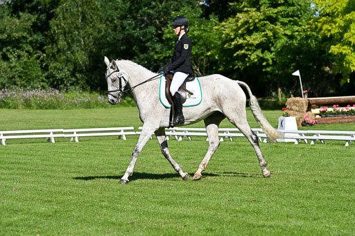  | 13062025 Dressur _0244 