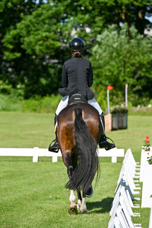  | 13062025 Dressur _0254 