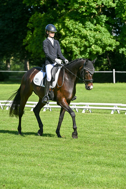  | 13062025 Dressur _0259 