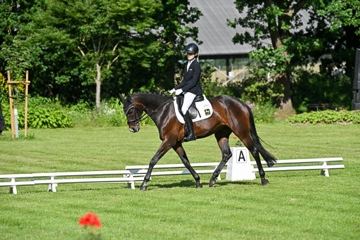 13062025-Dressur-_0260.jpg