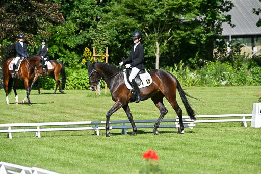  | 13062025 Dressur _0261 