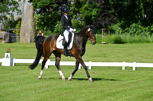  | 13062025 Dressur _0273 