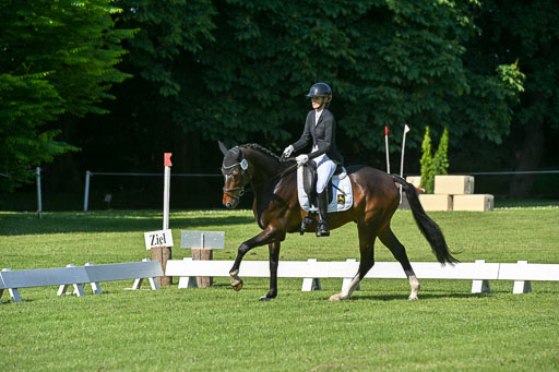  | 13062025 Dressur _0281 