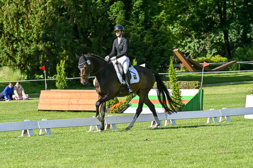  | 13062025 Dressur _0284 