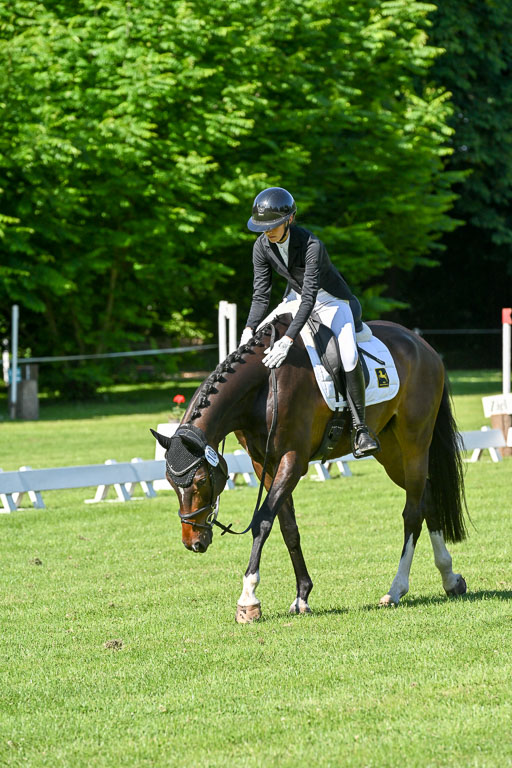  | 13062025 Dressur _0289 