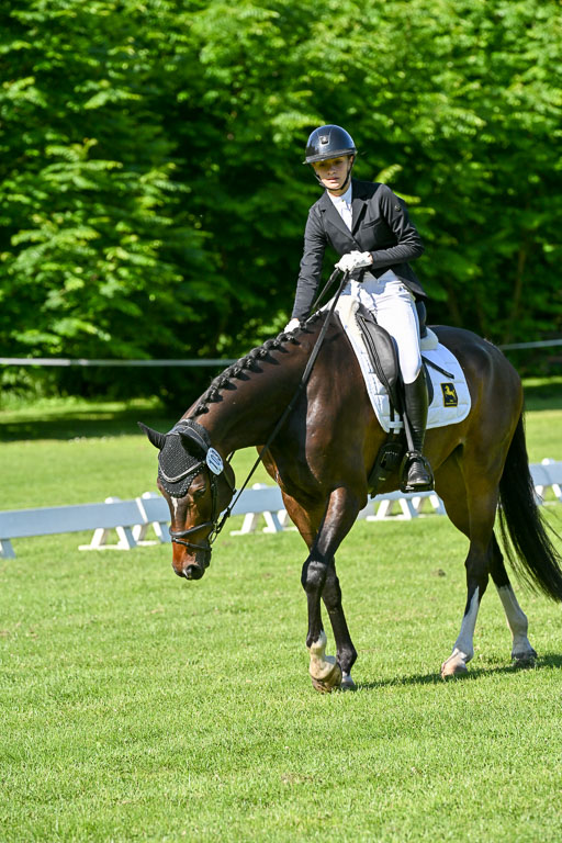  | 13062025 Dressur _0291 