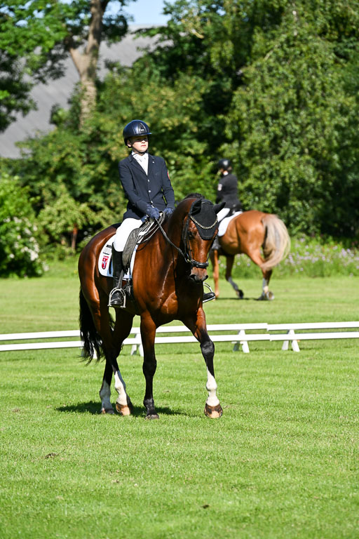  | 13062025 Dressur _0292 