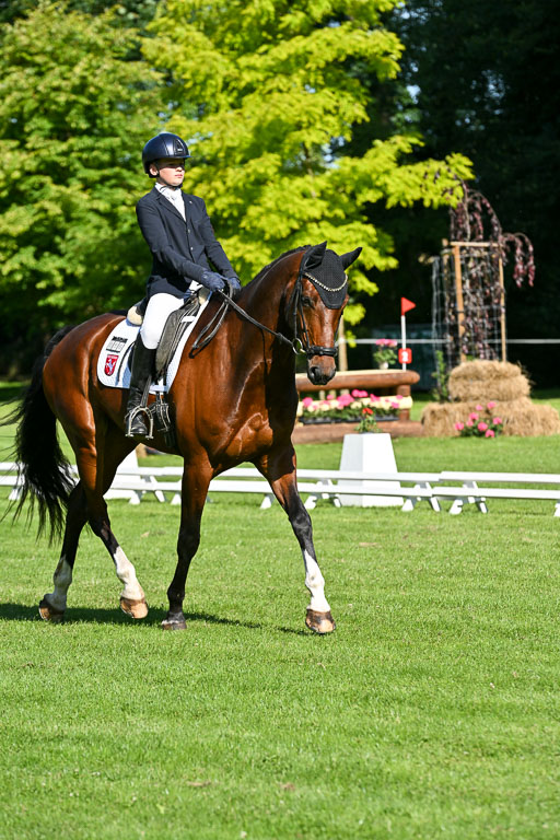  | 13062025 Dressur _0296 