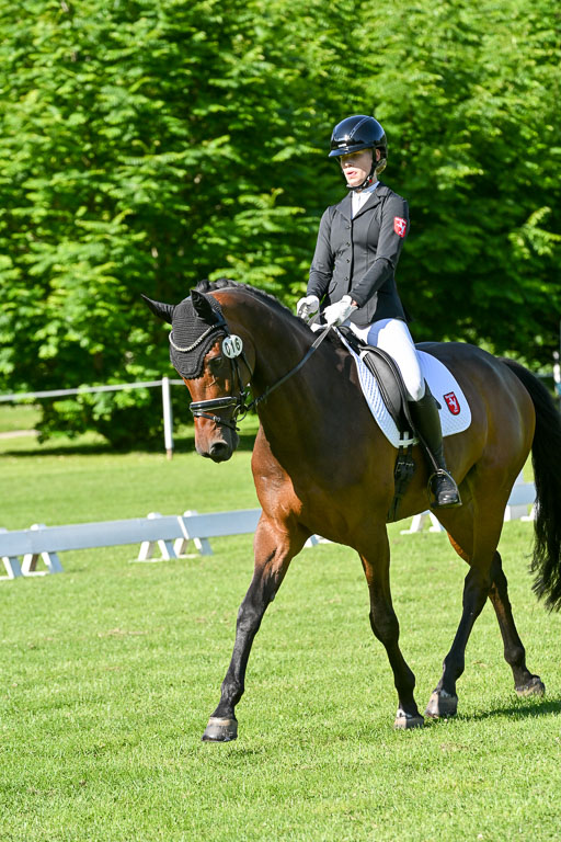  | 13062025 Dressur _0299 