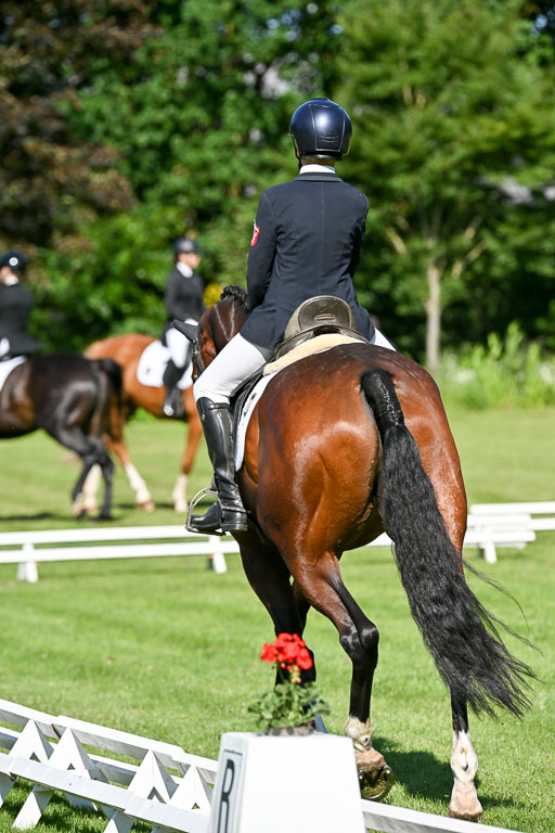  | 13062025 Dressur _0300 