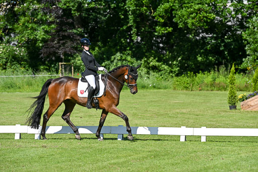 13062025-Dressur-_0302.jpg