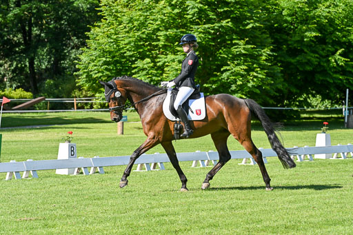  | 13062025 Dressur _0306 