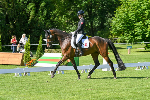  | 13062025 Dressur _0307 