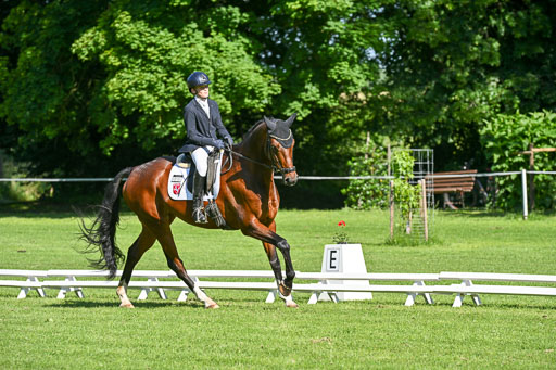  | 13062025 Dressur _0310 