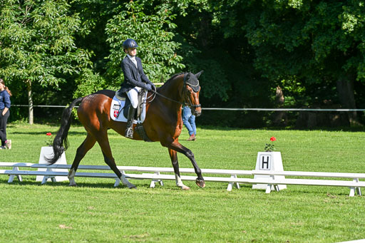  | 13062025 Dressur _0314 