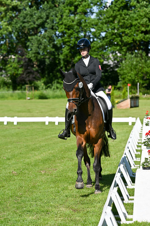  | 13062025 Dressur _0317 