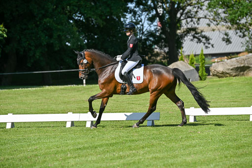  | 13062025 Dressur _0321 