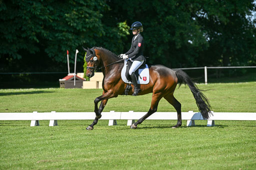  | 13062025 Dressur _0322 